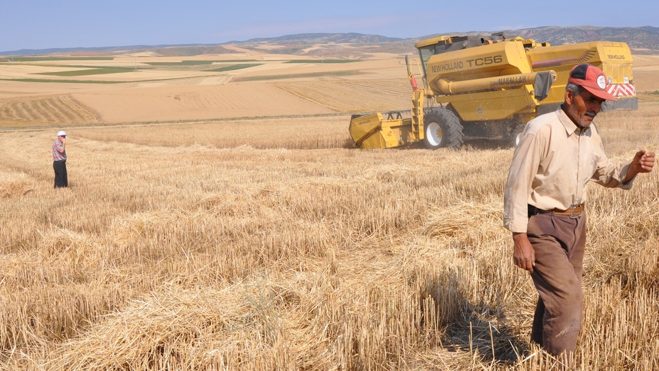 Tarım Üretici Fiyatlarında Son 7 Ayın Rekoru