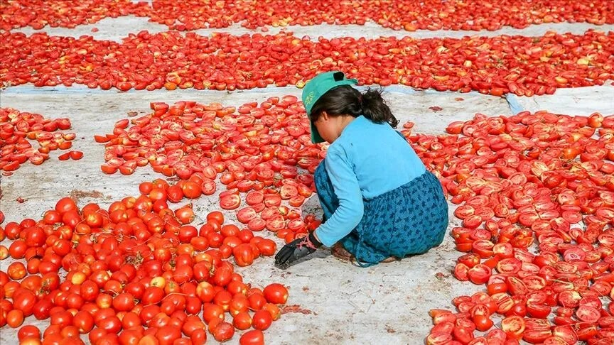 Çocuk İş Cinayetleri Yüzde 32 Arttı